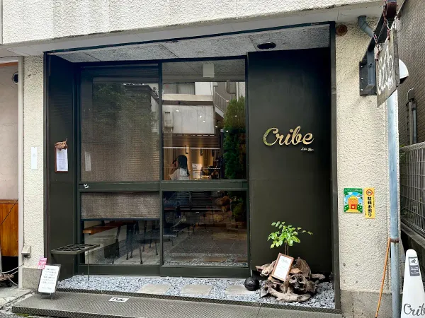 Life Size Cribe