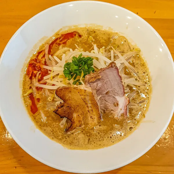 하야카와 사진 5