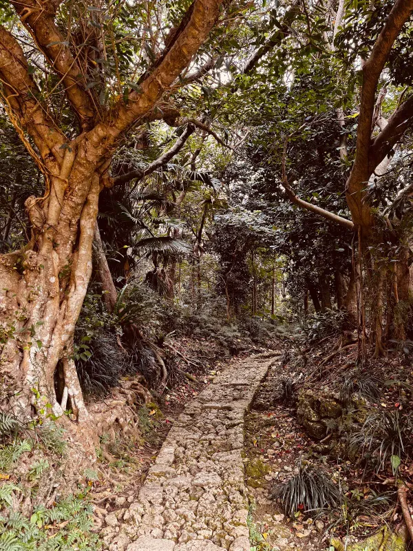 識名園の写真5