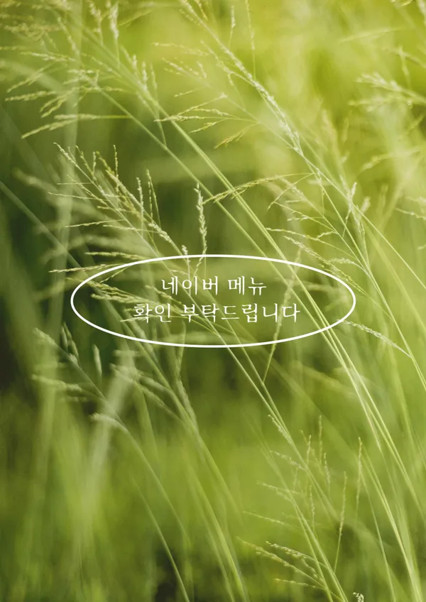 카페알베로 사진 4