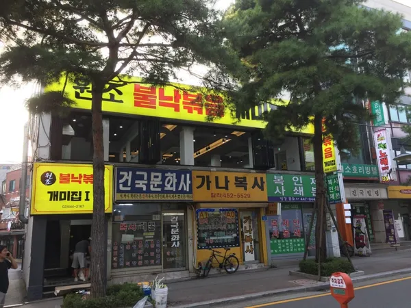 개미집 사진 2