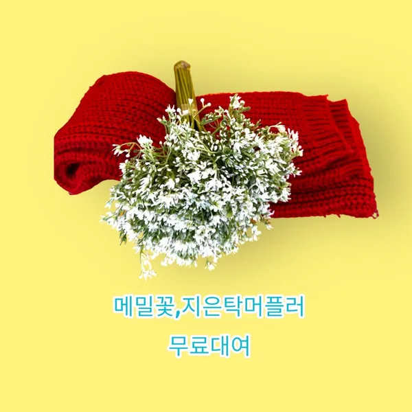 도깨비젤라또 직영본점 사진 2