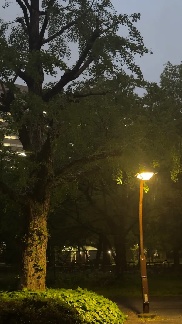日比谷公園の写真5