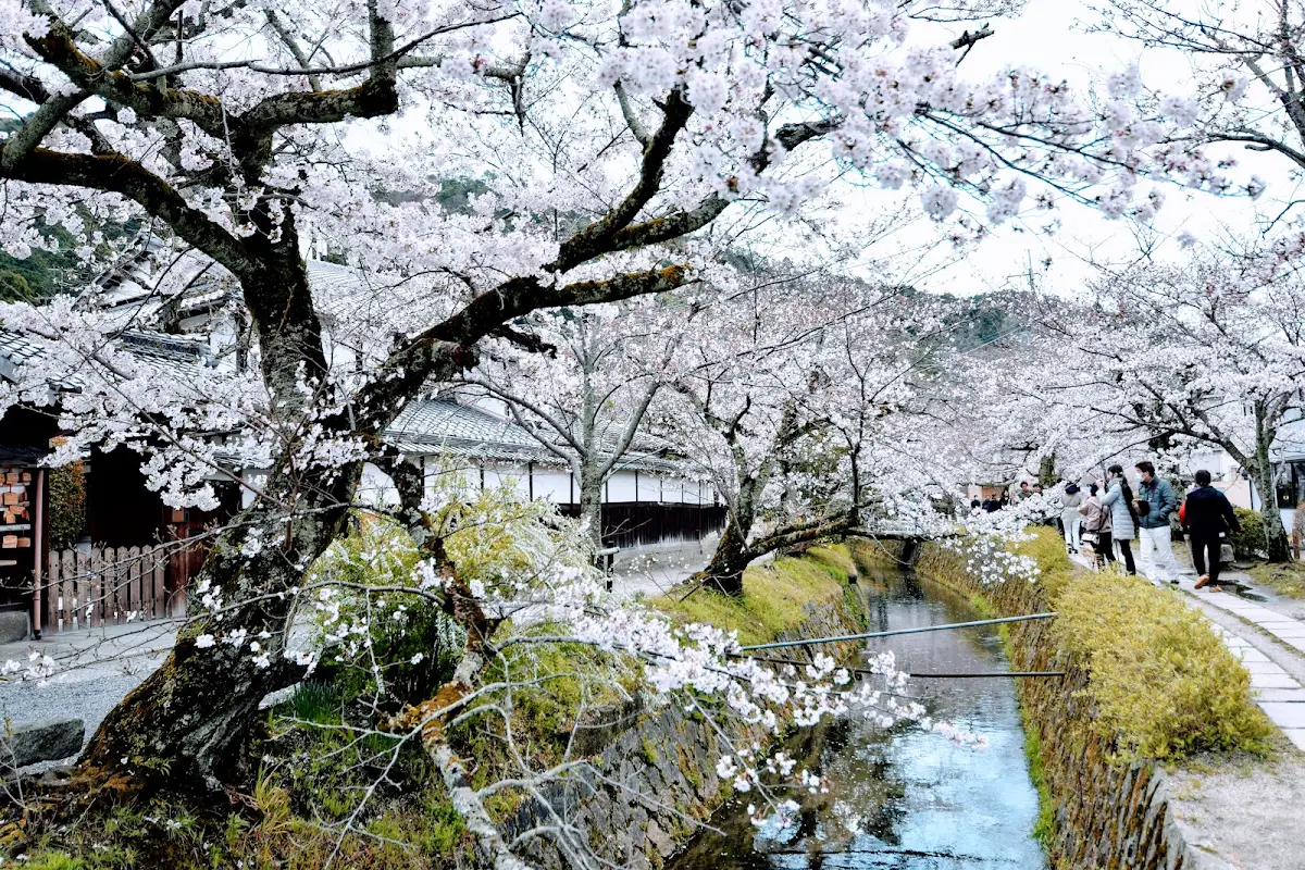 Tetsugaku No Michi