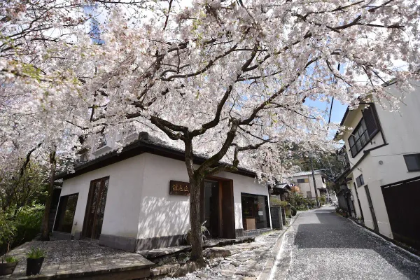 Tetsugaku No Michi 사진 4