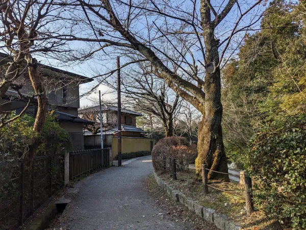 Tetsugaku No Michi 사진 5