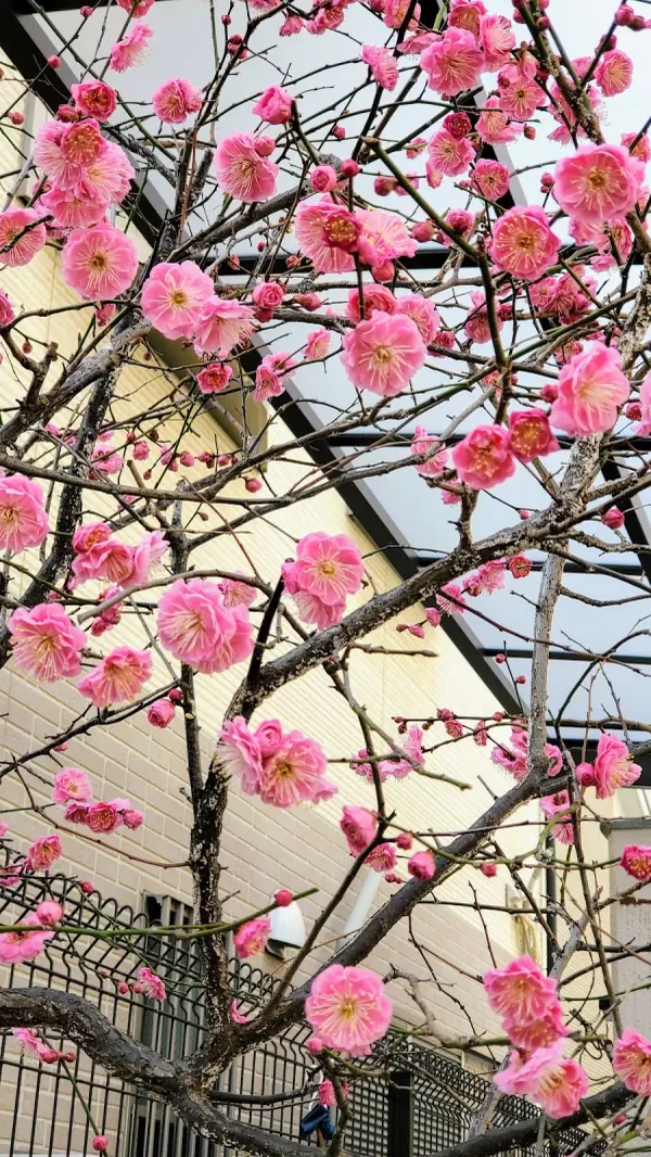 이쿠노구 사진 2