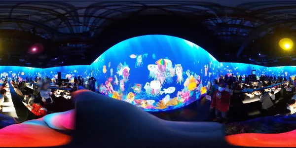 teamLab Borderless: MORI Building DIGITAL ART MUSEUM