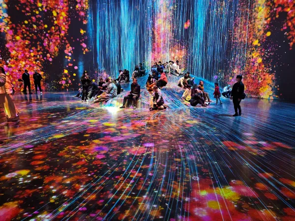 teamLab Borderless: MORI Building DIGITAL ART MUSEUM 사진 4