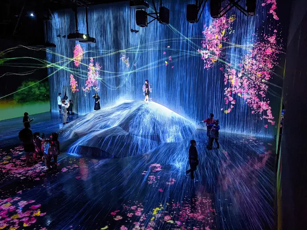 teamLab Borderless: MORI Building DIGITAL ART MUSEUM 사진 5