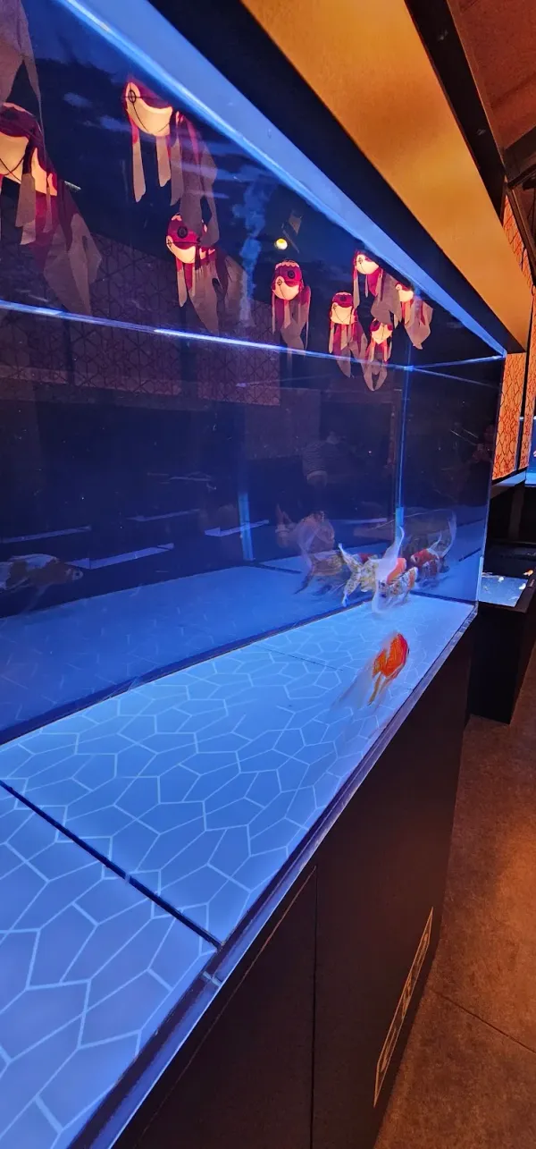 すみだ水族館の写真5