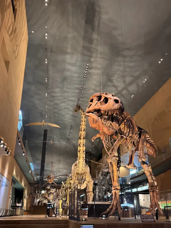 北九州市立いのちのたび博物館の写真3