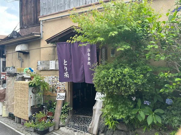 도리키쿠 사진 4