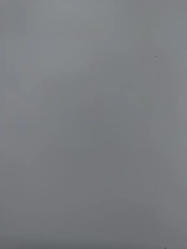 이스트 로열 사진 2