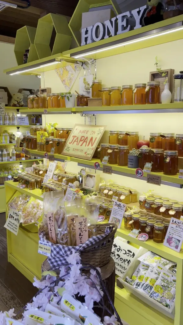 BeeHoney 사진 3
