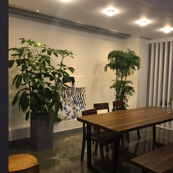 카페드롤랑 사진 4