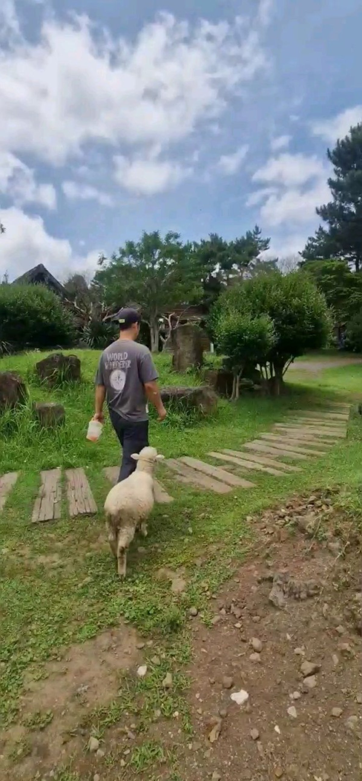 제주양떼목장 사진 5