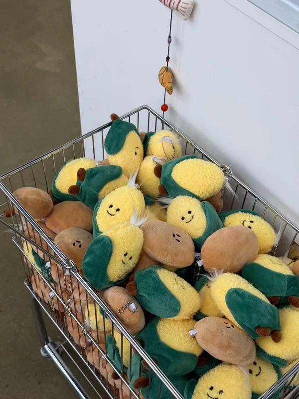 파도상점 동해본점 사진 4