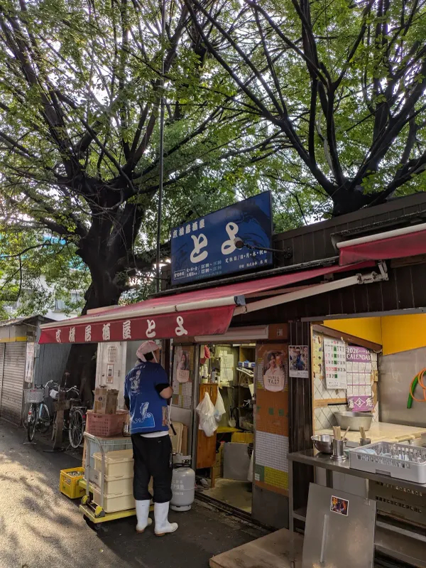 토요 사진 3