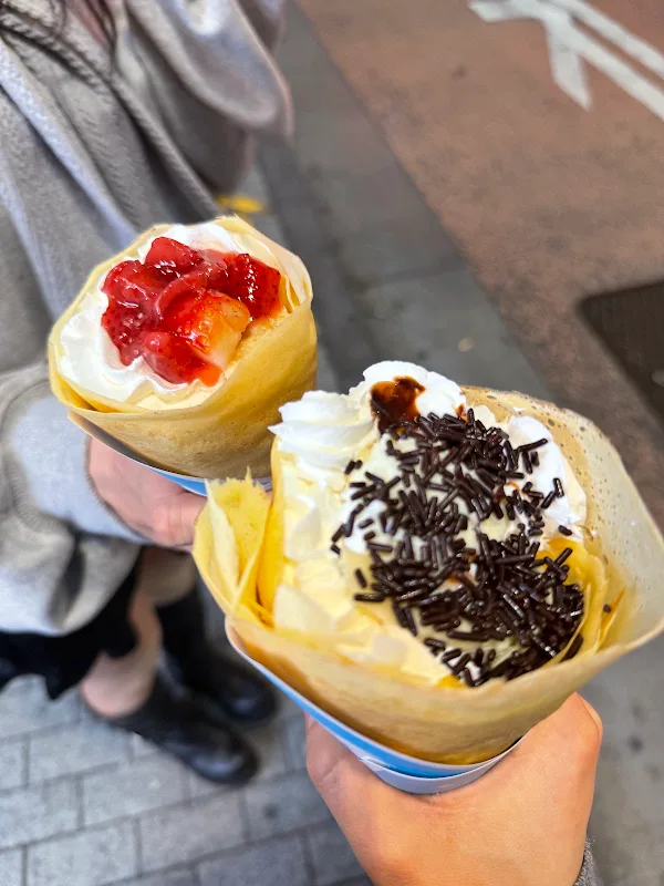 Crepe Petit Varie 사진 5