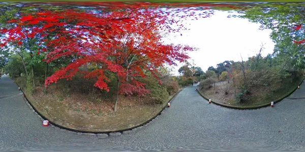 Kameyama Park