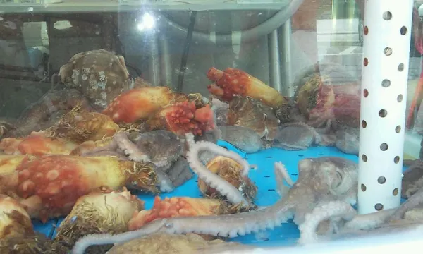 울엄마제철맛집 사진 3