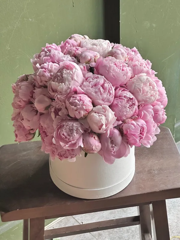 오름꽃 사진 3