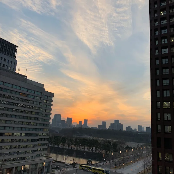 신마루노우치 빌딩 테라스 사진 4