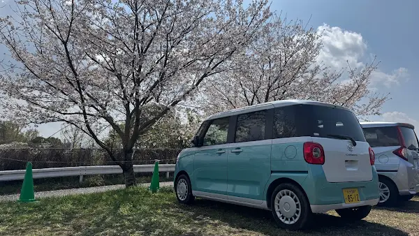 TOYOTA Rent a Car 사진 3