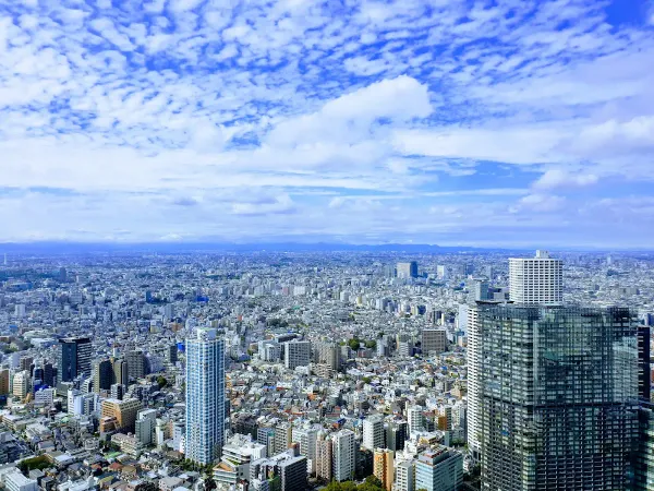 Tokyo Metropolitan Government Building North Observation Deck 사진 4