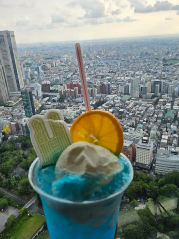 東京都庁第一本庁舎 北展望室