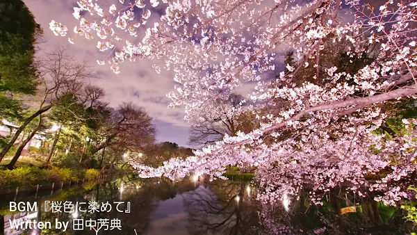 Inokashira Pond 사진 3