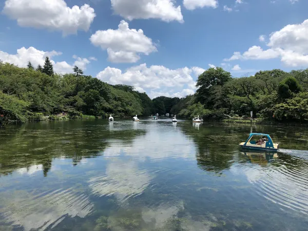 Inokashira Pond 사진 4