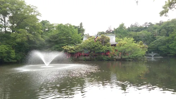 Inokashira Pond 사진 5