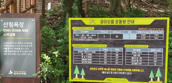 광이오름 사진 2