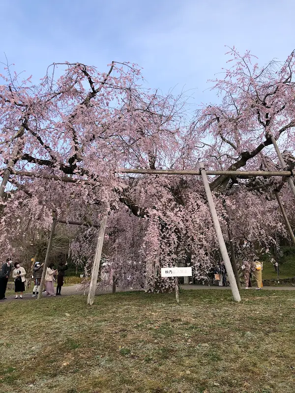 야사카 신사 남루문 사진 5