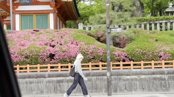 야사카 신사 서루문 사진 3