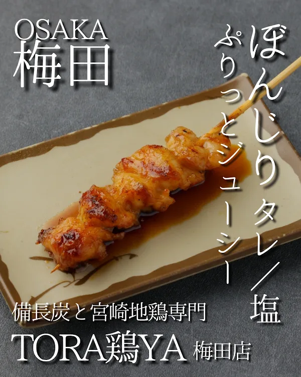 焼き鳥 備長炭と宮崎地鶏専門 TORA鶏YA 梅田店