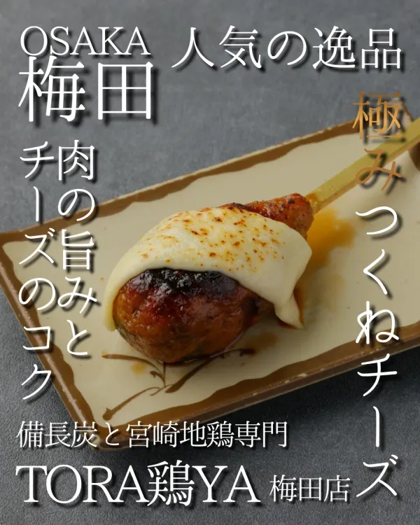 焼き鳥 備長炭と宮崎地鶏専門 TORA鶏YA 梅田店 사진 3