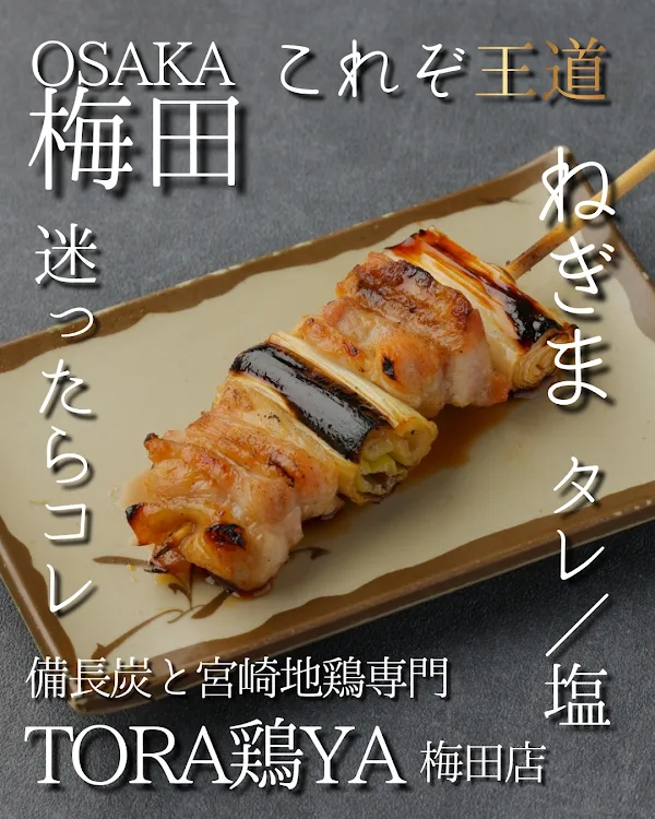 焼き鳥 備長炭と宮崎地鶏専門 TORA鶏YA 梅田店 사진 4