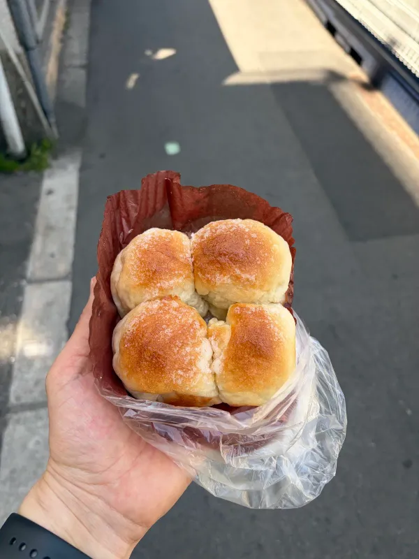 파네 포르치니 사진 5