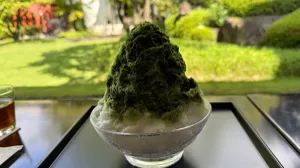 虎屋菓寮 京都一条店