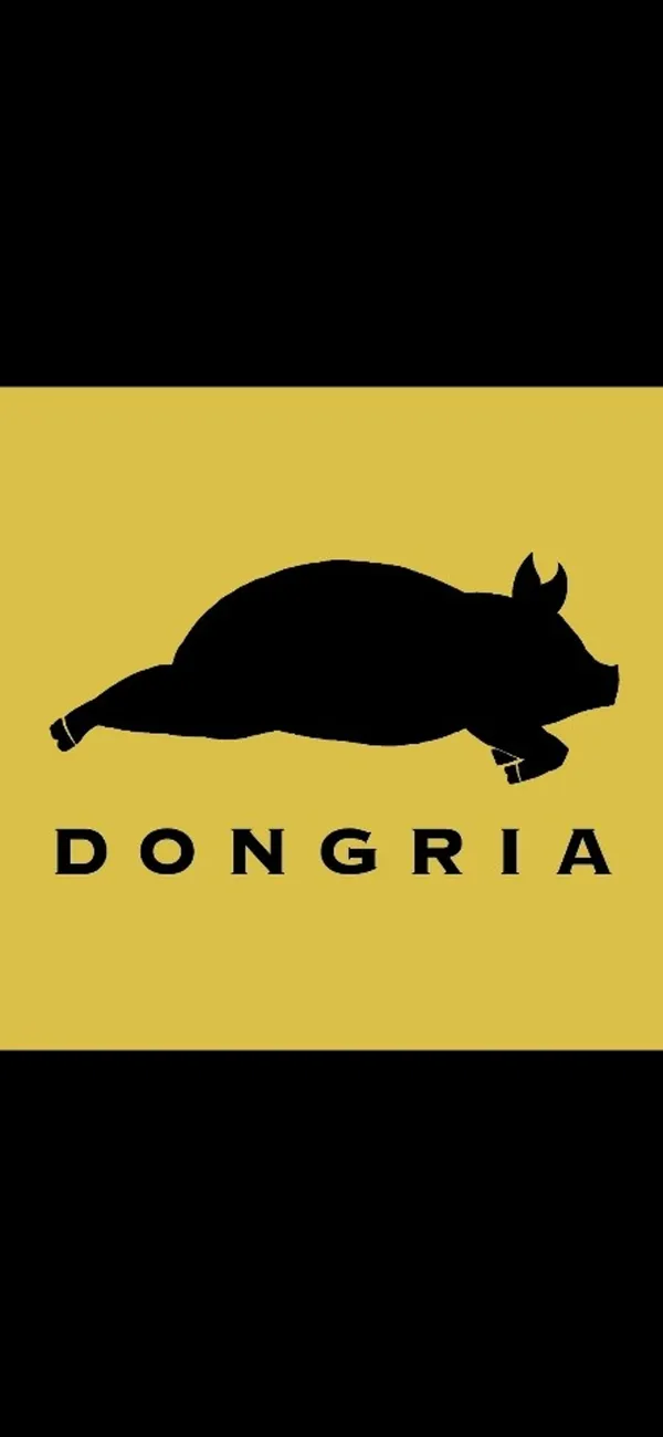 돈그리아 돼라리점 사진 4