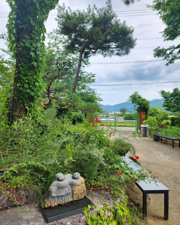 곤지곤지 사진 5