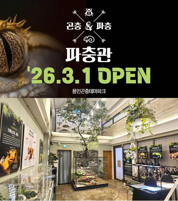 용인곤충테마파크 사진 3