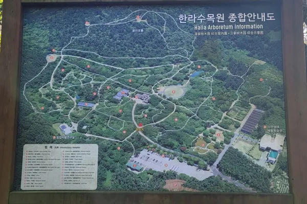 광이오름 사진 5