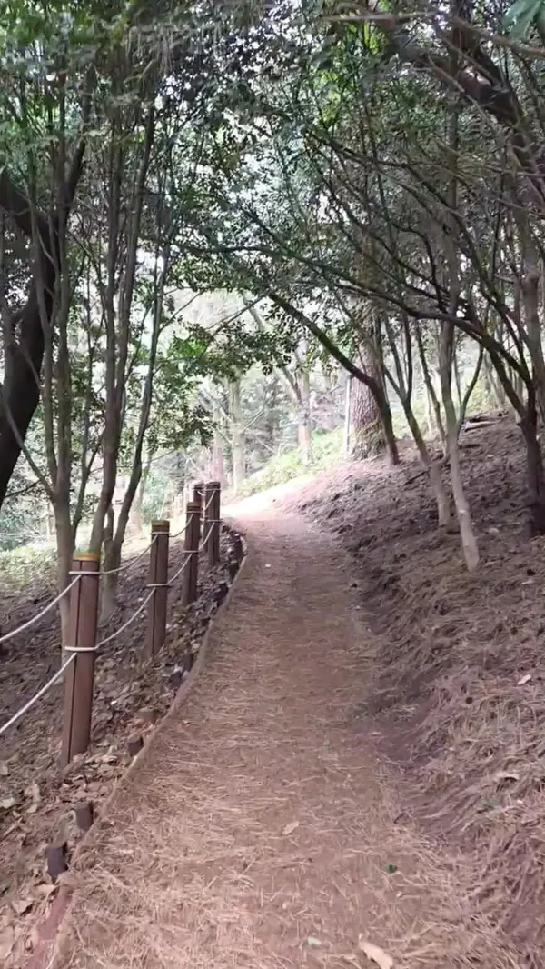 Gwangi Oreum