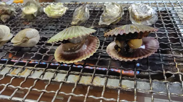 토쿠에이마루の写真4