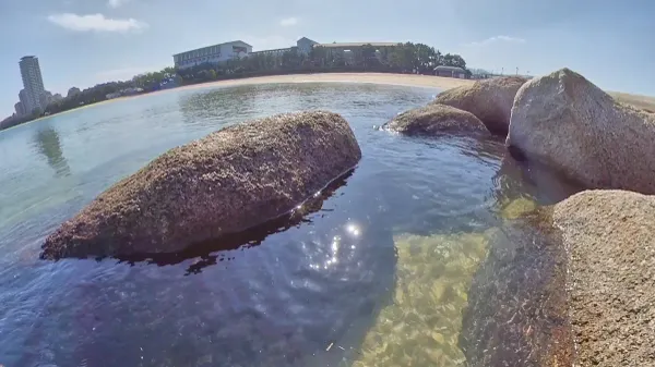 マリナタウン海浜公園 사진 3