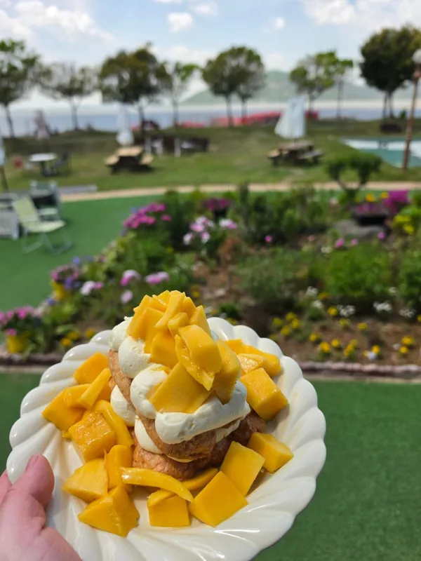 와온카페 노드그라운즈 사진 4